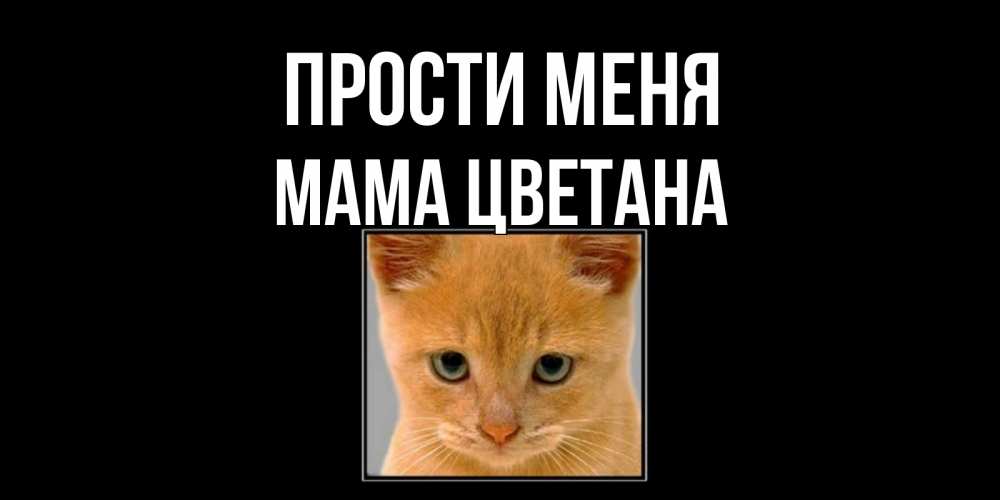 Открытка на каждый день с именем, Мама-Цветана Прости меня рыжий грустный кот просит прощения Прикольная открытка с пожеланием онлайн скачать бесплатно 