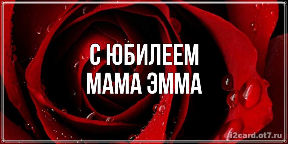 Открытка на каждый день с именем, Мама-Эмма С юбилеем крупная бордовая роза Прикольная открытка с пожеланием онлайн скачать бесплатно 