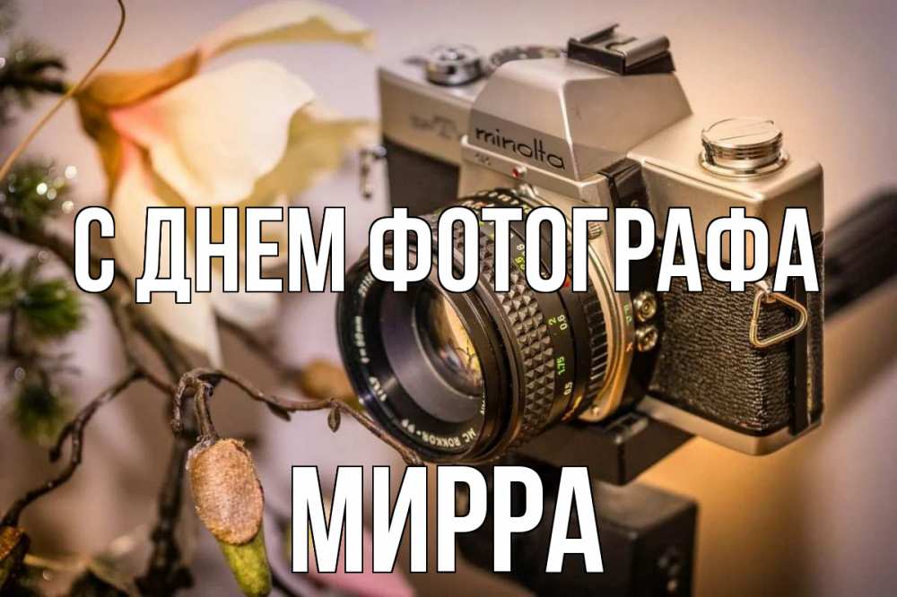 Открытка на каждый день с именем, Мирра С днем фотографа с днем фотографа 1 Прикольная открытка с пожеланием онлайн скачать бесплатно 