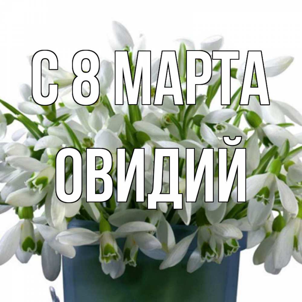 Открытка на каждый день с именем, Овидий С 8 МАРТА цветы к международному женскому дню Прикольная открытка с пожеланием онлайн скачать бесплатно 