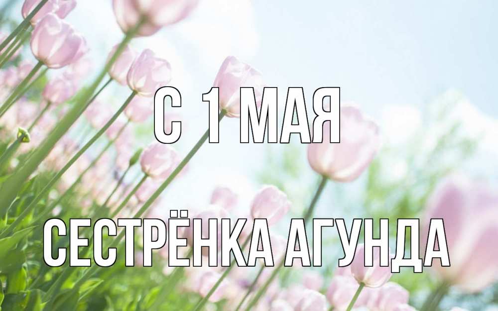 Открытка на каждый день с именем, Сестрёнка-Агунда С 1 мая С 1 мая Прикольная открытка с пожеланием онлайн скачать бесплатно 