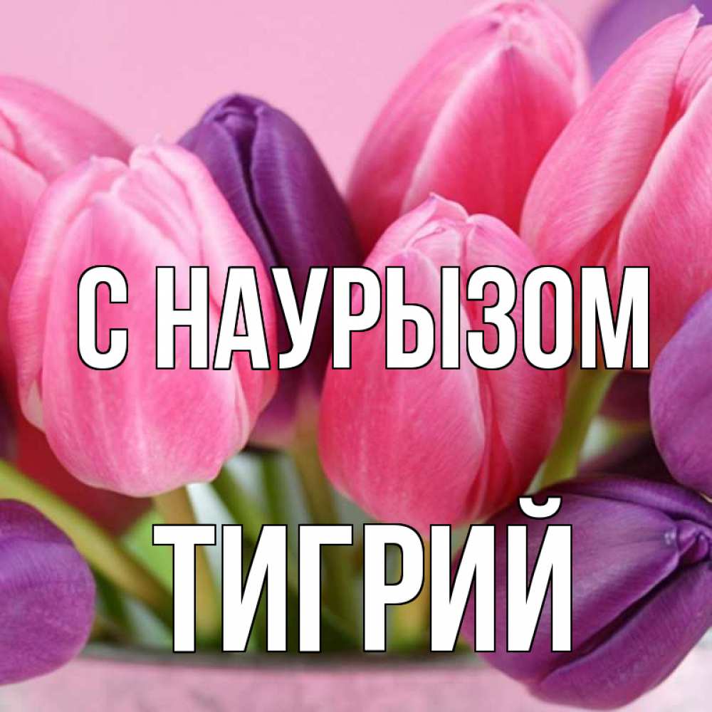 Открытка на каждый день с именем, Тигрий С наурызом маме 1 Прикольная открытка с пожеланием онлайн скачать бесплатно 