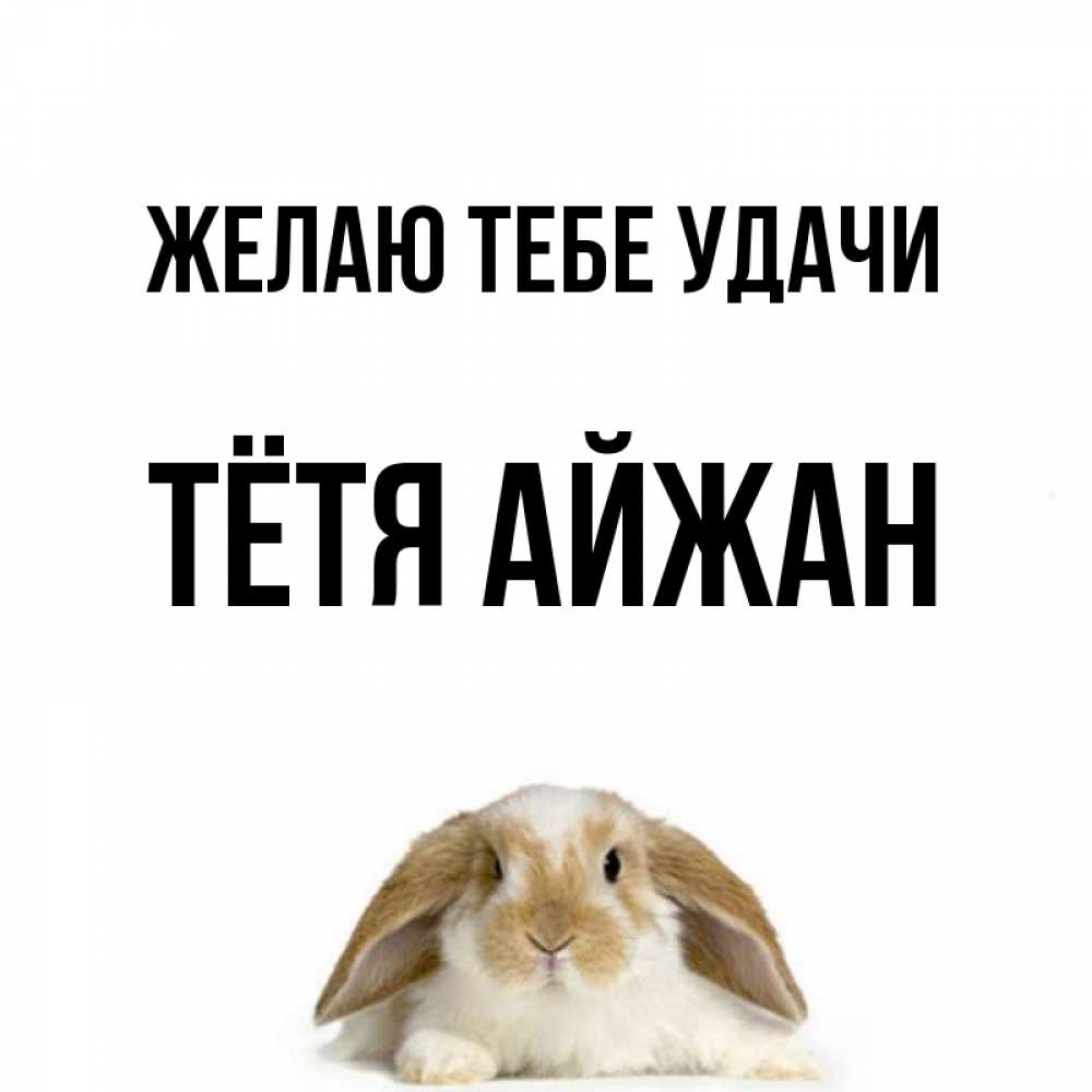 Открытка на каждый день с именем, Тётя-Айжан Желаю тебе удачи открытки с произвольным текстом который можно вставить в открытку и создать ее самостоятельно бесплатно онлайн Прикольная открытка с пожеланием онлайн скачать бесплатно 