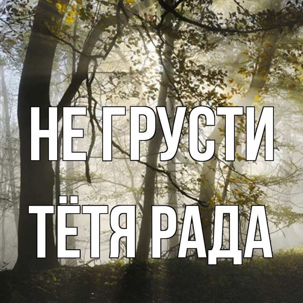 Открытка на каждый день с именем, Тётя-Рада Не грусти лес и свет Прикольная открытка с пожеланием онлайн скачать бесплатно 