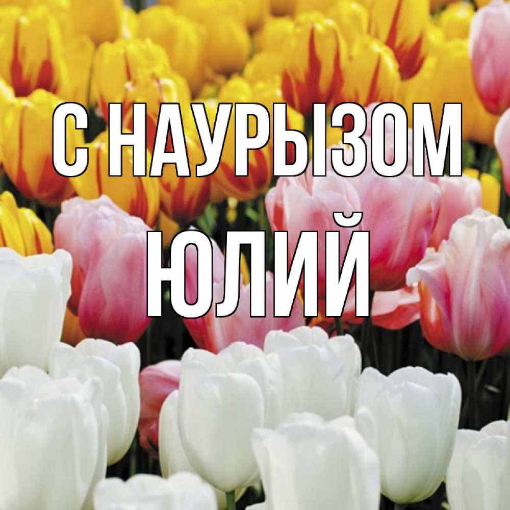 Открытка на каждый день с именем, Юлий С наурызом разноцветные цветы Прикольная открытка с пожеланием онлайн скачать бесплатно 