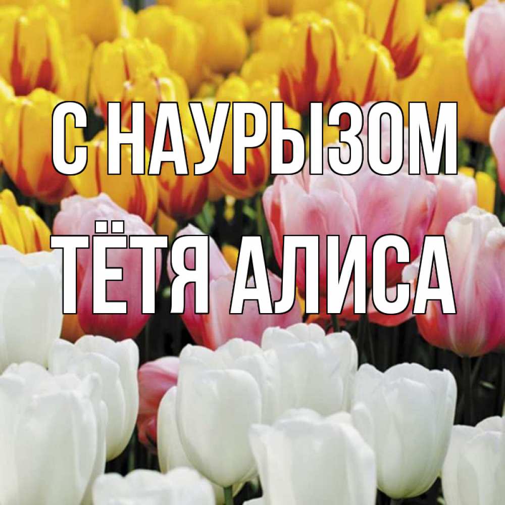 Открытка на каждый день с именем, Тётя-Алиса С наурызом разноцветные цветы Прикольная открытка с пожеланием онлайн скачать бесплатно 