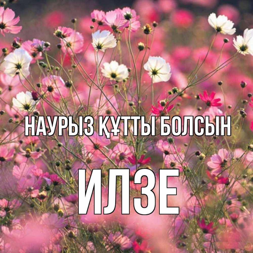 Открытка на каждый день с именем, Илзе Наурыз құтты болсын красиво 1 Прикольная открытка с пожеланием онлайн скачать бесплатно 
