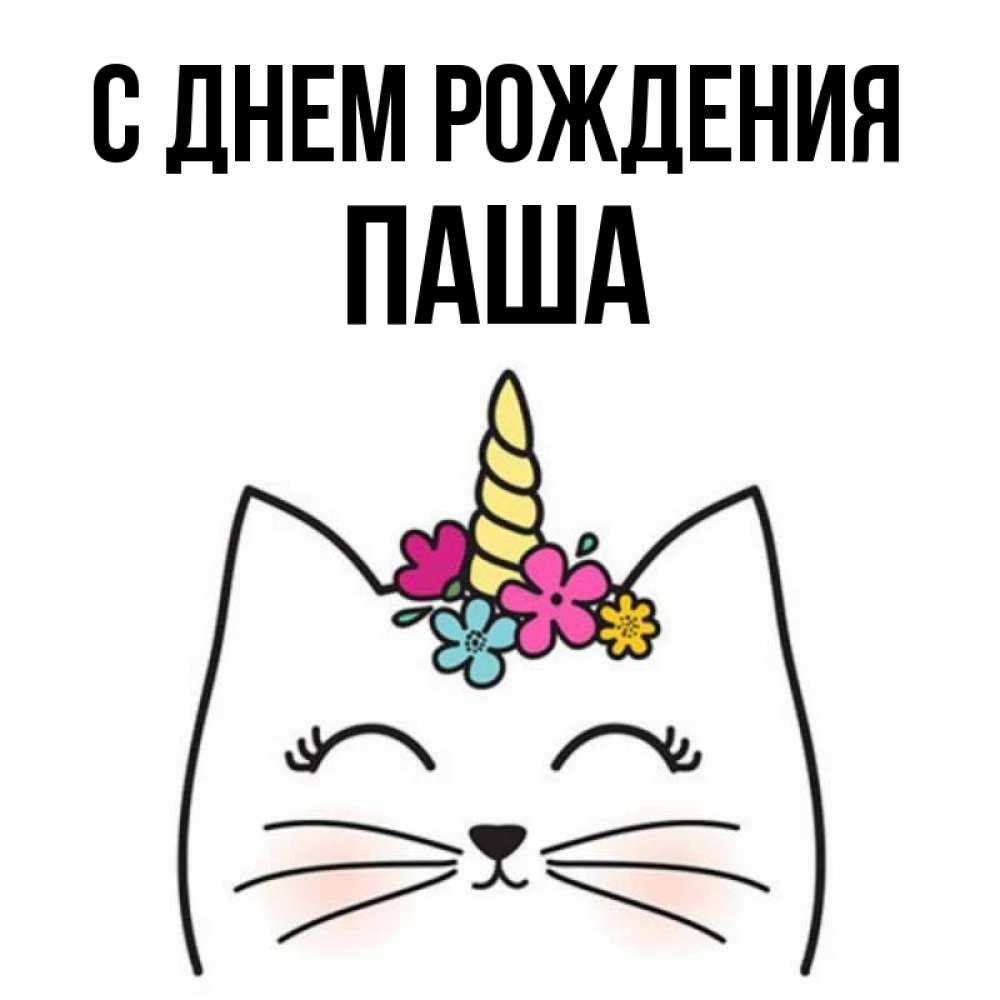 Открытка на каждый день с именем, Паша С днем рождения милый кот с одним рожком Прикольная открытка с пожеланием онлайн скачать бесплатно 