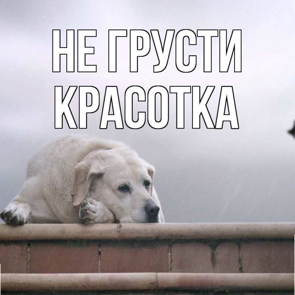 Картинка Не грусти, красотка