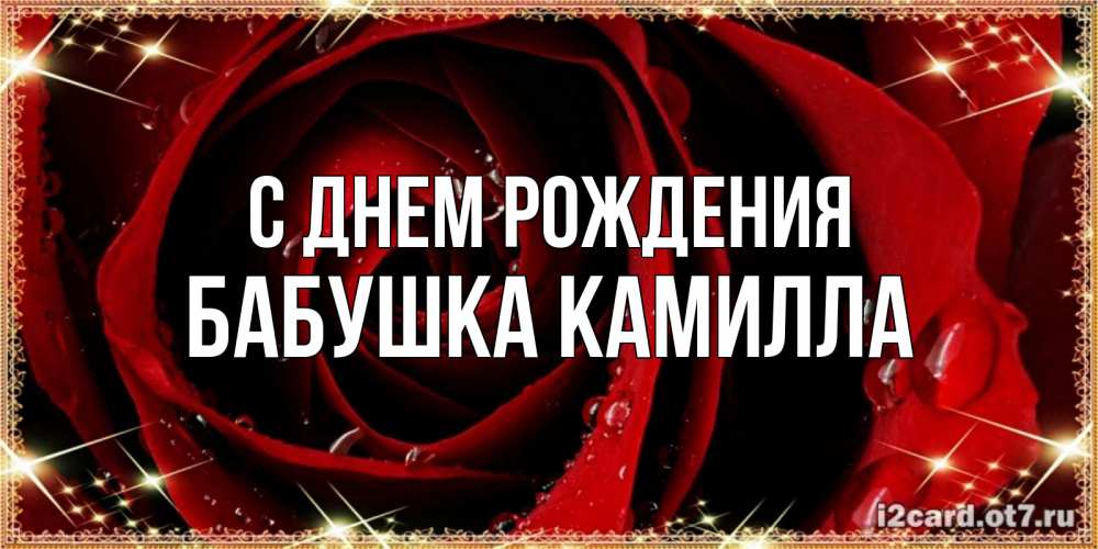 Открытка на каждый день с именем, Бабушка-Камилла С днем рождения цветок в росе на день рождения Прикольная открытка с пожеланием онлайн скачать бесплатно 
