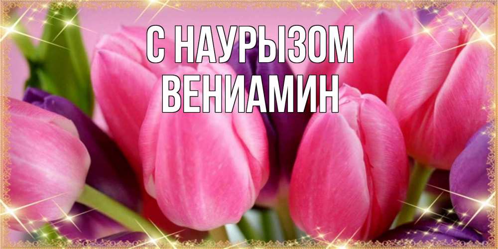Открытка на каждый день с именем, Вениамин С наурызом тюльпаны для женщины на праздник весны наурыз Прикольная открытка с пожеланием онлайн скачать бесплатно 