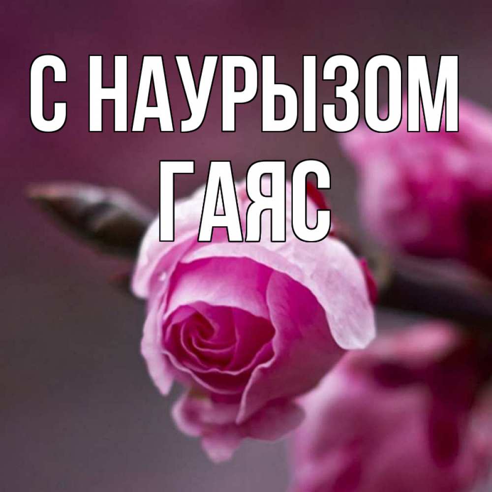 Открытка на каждый день с именем, Гаяс С наурызом весна Прикольная открытка с пожеланием онлайн скачать бесплатно 