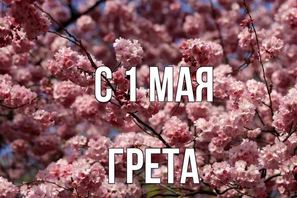 Открытка на каждый день с именем, Грета С 1 мая С 1 мая Прикольная открытка с пожеланием онлайн скачать бесплатно 
