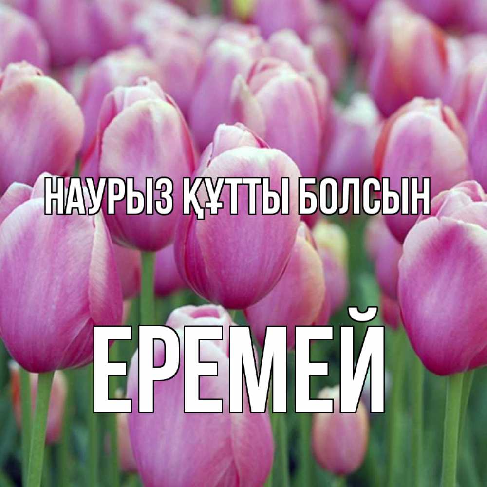 Открытка на каждый день с именем, Еремей Наурыз құтты болсын на наурыз  день 3 Прикольная открытка с пожеланием онлайн скачать бесплатно 