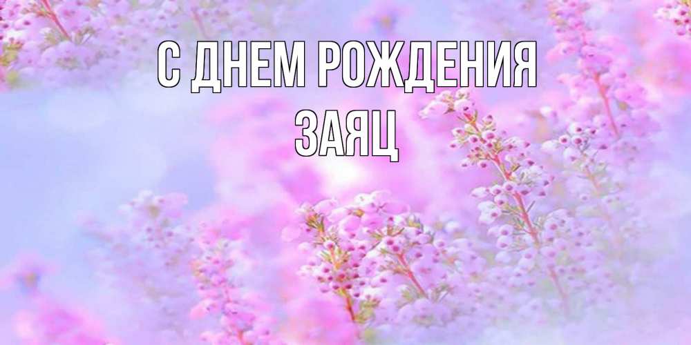 Открытка на каждый день с именем, Заяц С днем рождения красивая открытка с мелкими цветами Прикольная открытка с пожеланием онлайн скачать бесплатно 