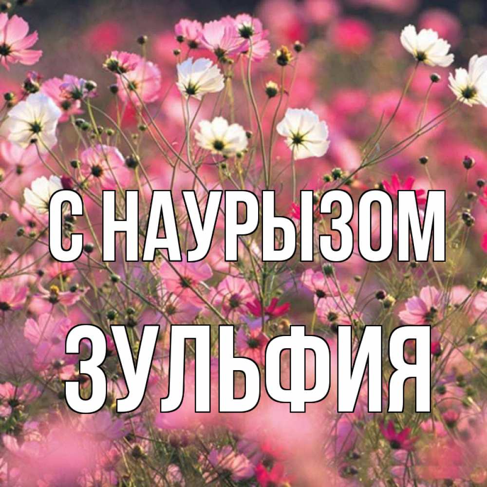 Открытка на каждый день с именем, Зульфия С наурызом красиво 1 Прикольная открытка с пожеланием онлайн скачать бесплатно 