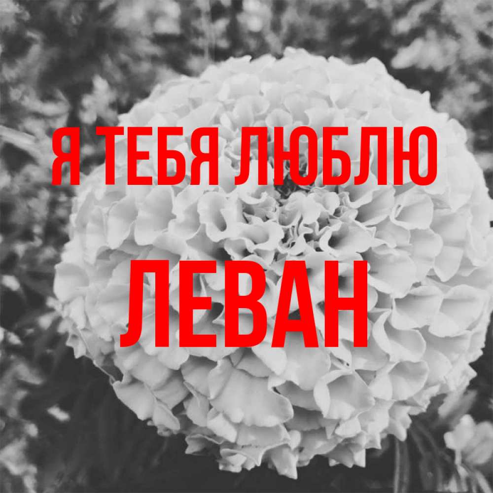 Открытка на каждый день с именем, Леван Я тебя люблю подпись Прикольная открытка с пожеланием онлайн скачать бесплатно 