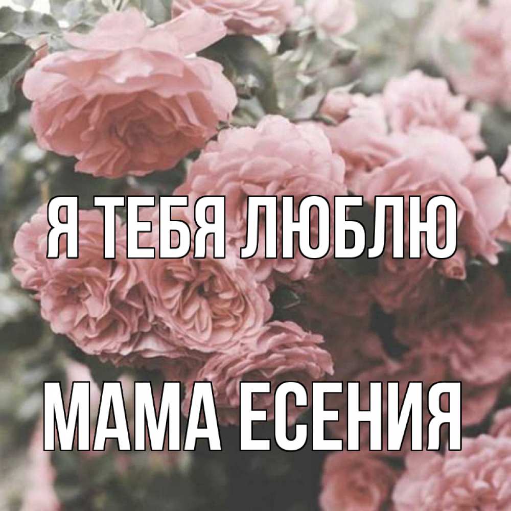 Открытка на каждый день с именем, Мама-Есения Я тебя люблю розы 3 Прикольная открытка с пожеланием онлайн скачать бесплатно 