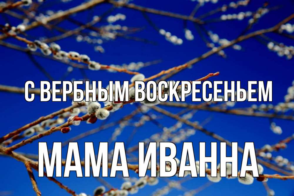 Открытка на каждый день с именем, Мама-Иванна С вербным воскресеньем верба Прикольная открытка с пожеланием онлайн скачать бесплатно 