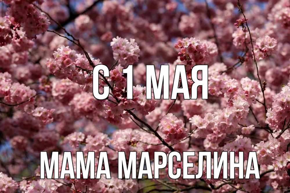 Открытка на каждый день с именем, Мама-Марселина С 1 мая С 1 мая Прикольная открытка с пожеланием онлайн скачать бесплатно 