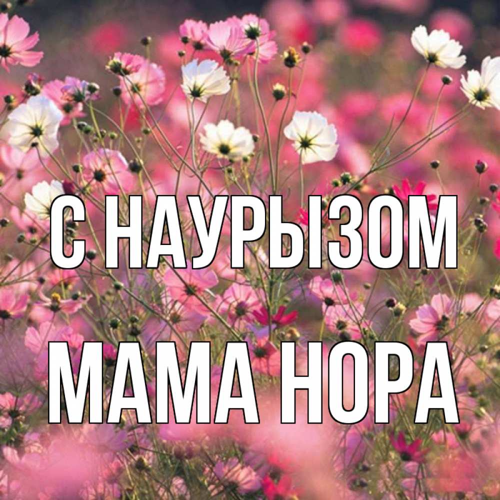 Открытка на каждый день с именем, Мама-Нора С наурызом красиво 1 Прикольная открытка с пожеланием онлайн скачать бесплатно 