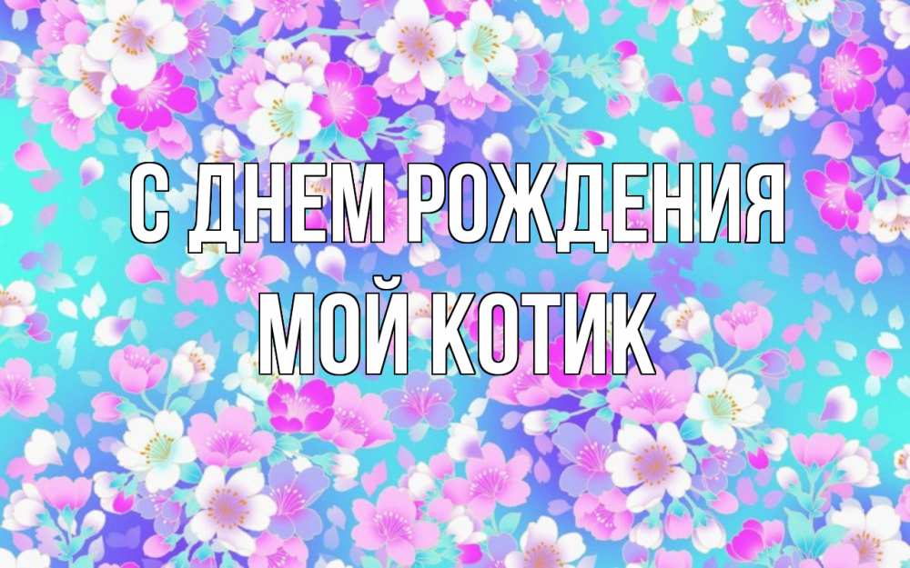 Открытка на каждый день с именем, Мой-Котик С днем рождения открытка с заливкой Прикольная открытка с пожеланием онлайн скачать бесплатно 