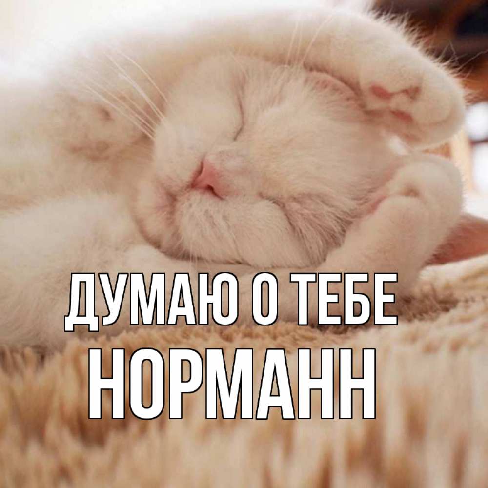 Открытка на каждый день с именем, Норманн Думаю о тебе для любимой девушки милота Прикольная открытка с пожеланием онлайн скачать бесплатно 