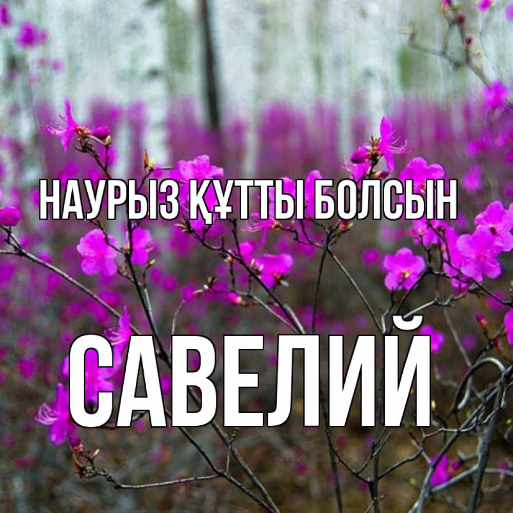 Открытка на каждый день с именем, Савелий Наурыз құтты болсын дикие цветы Прикольная открытка с пожеланием онлайн скачать бесплатно 