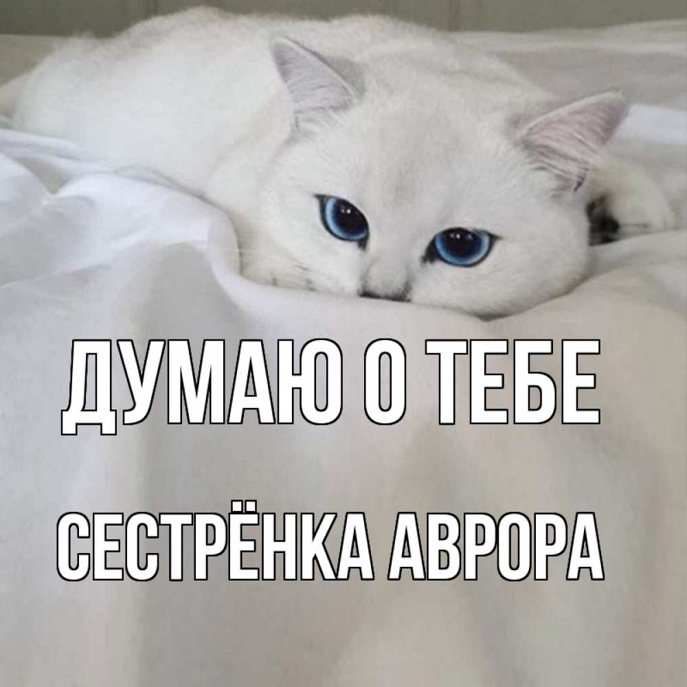 Открытка на каждый день с именем, Сестрёнка-Аврора Думаю о тебе я очень по тебе скучаю и тоскую Прикольная открытка с пожеланием онлайн скачать бесплатно 
