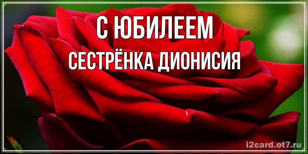 Открытка на каждый день с именем, Сестрёнка-Дионисия С юбилеем розочка очень красивая Прикольная открытка с пожеланием онлайн скачать бесплатно 