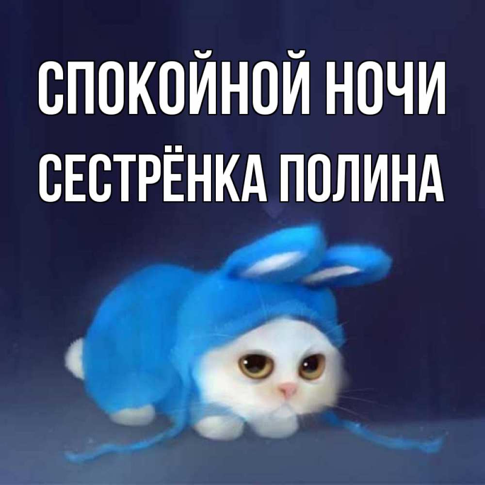 Открытка на каждый день с именем, Сестрёнка-Полина Спокойной ночи кот в голубом костюме кролика с ушками Прикольная открытка с пожеланием онлайн скачать бесплатно 