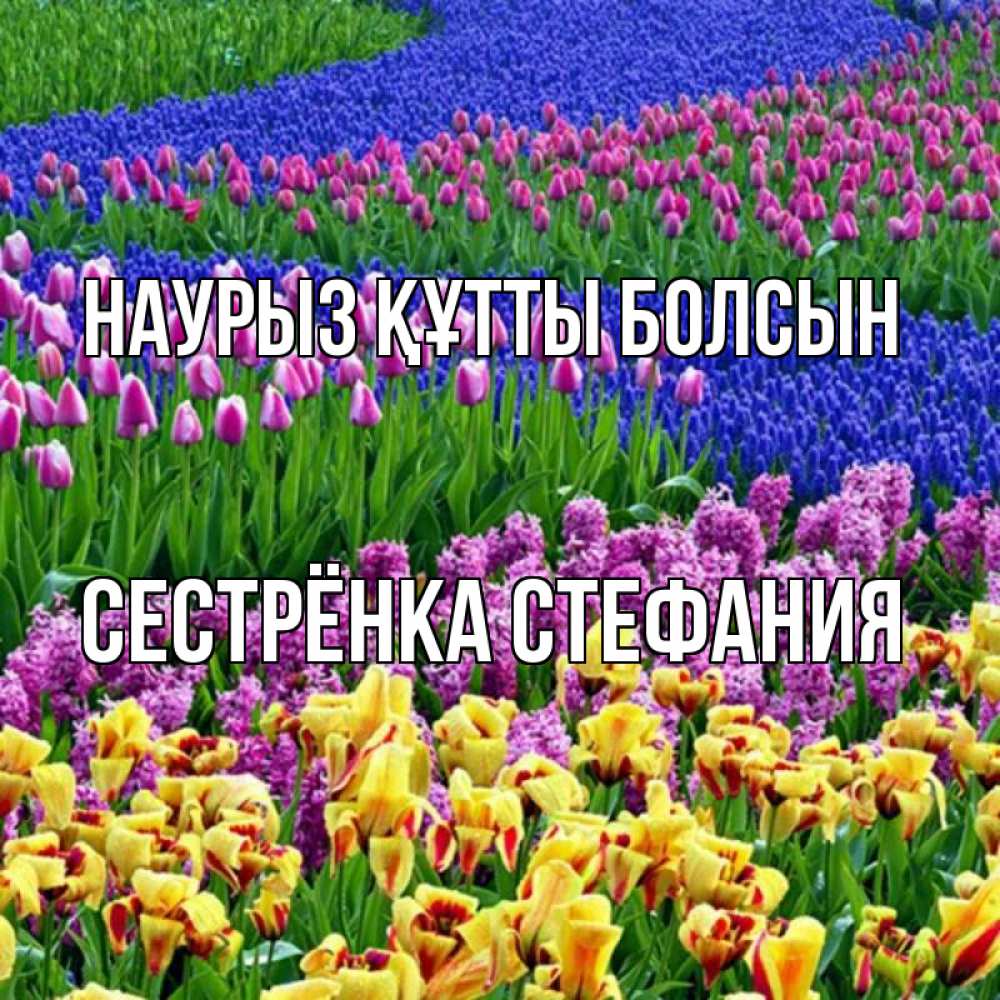 Открытка на каждый день с именем, Сестрёнка-Стефания Наурыз құтты болсын цветы Прикольная открытка с пожеланием онлайн скачать бесплатно 