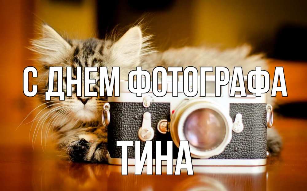 Открытка на каждый день с именем, Тина С днем фотографа с днем фотографа Прикольная открытка с пожеланием онлайн скачать бесплатно 