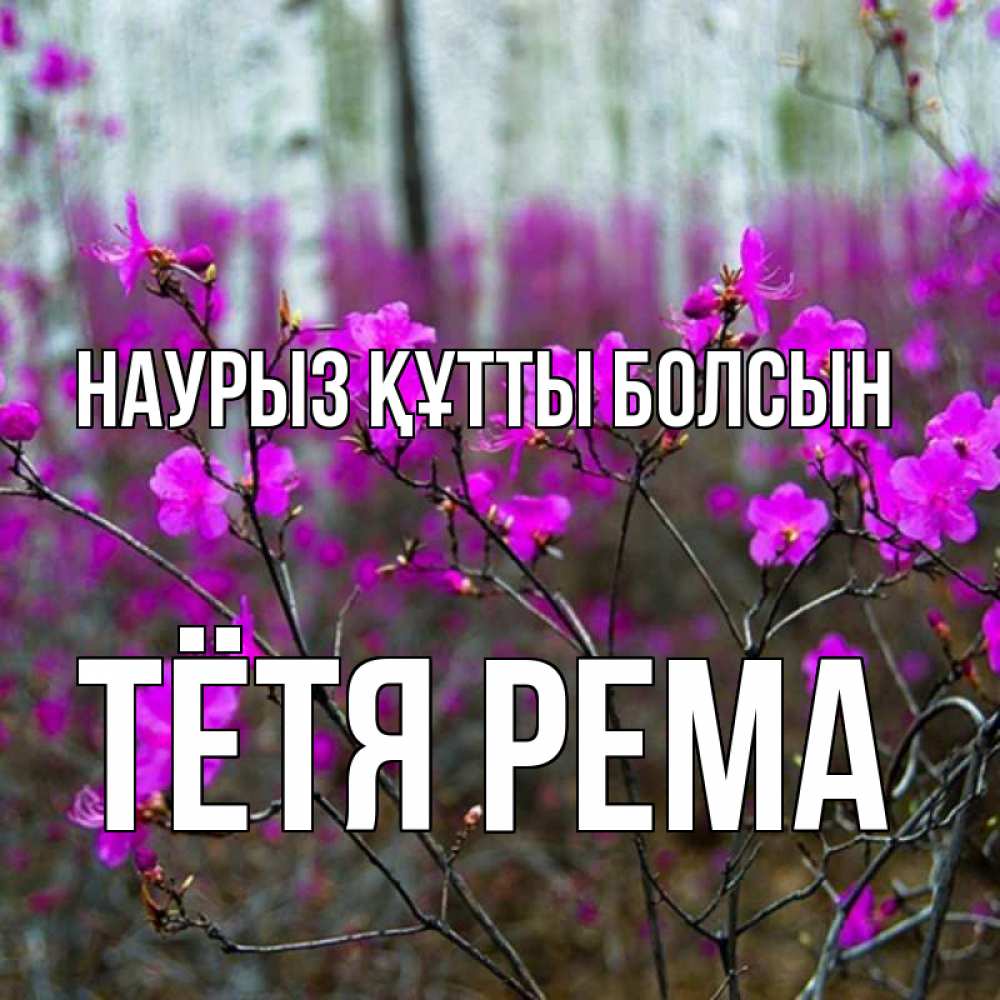 Открытка на каждый день с именем, Тётя-Рема Наурыз құтты болсын дикие цветы Прикольная открытка с пожеланием онлайн скачать бесплатно 