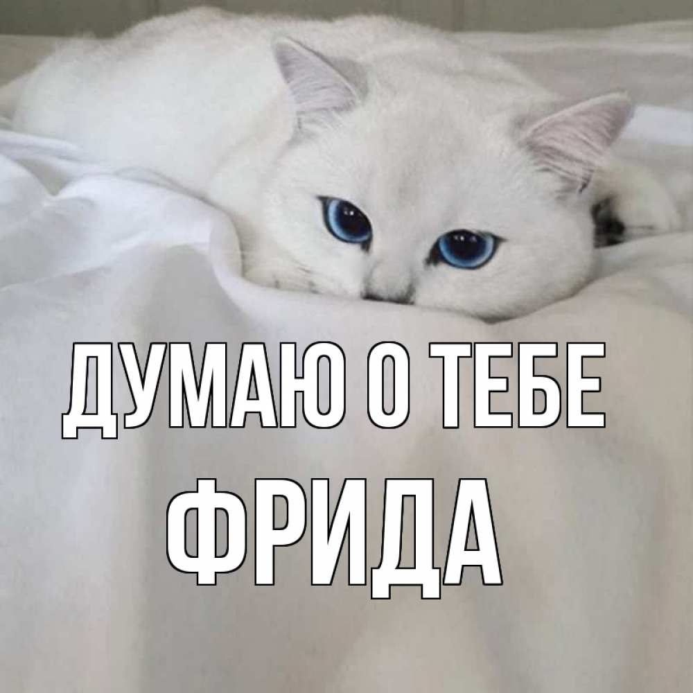 Открытка на каждый день с именем, Фрида Думаю о тебе я очень по тебе скучаю и тоскую Прикольная открытка с пожеланием онлайн скачать бесплатно 