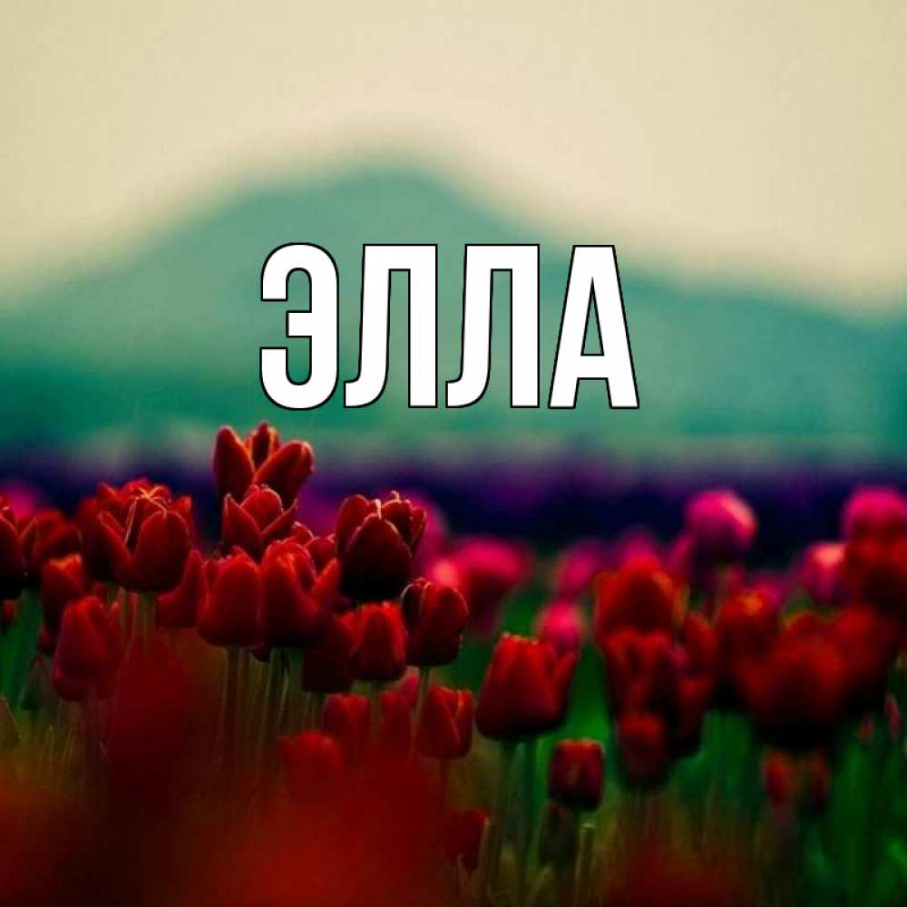 Открытка на каждый день с именем, Элла Главная тюльпаны 4 Прикольная открытка с пожеланием онлайн скачать бесплатно 