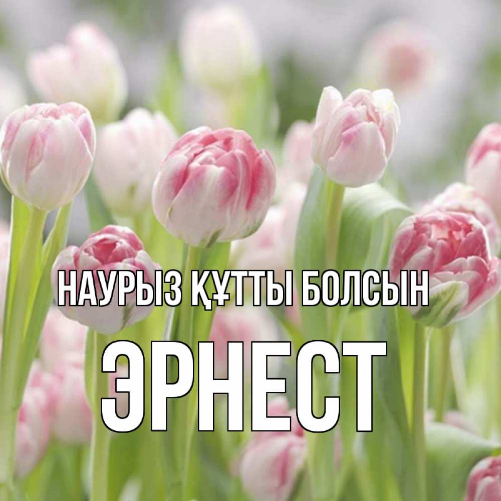 Открытка на каждый день с именем, Эрнест Наурыз құтты болсын цветы Прикольная открытка с пожеланием онлайн скачать бесплатно 