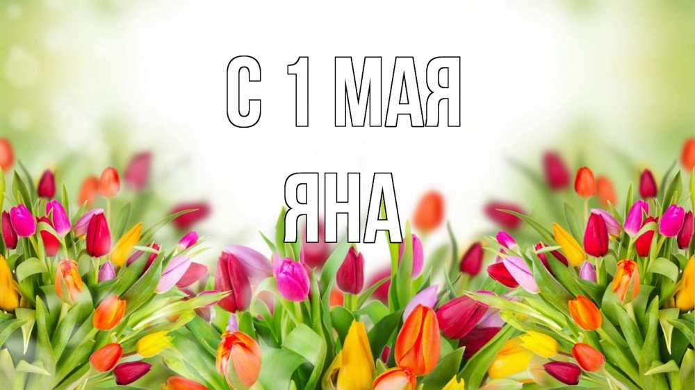 Открытка на каждый день с именем, Яна С 1 мая С 1 мая Прикольная открытка с пожеланием онлайн скачать бесплатно 