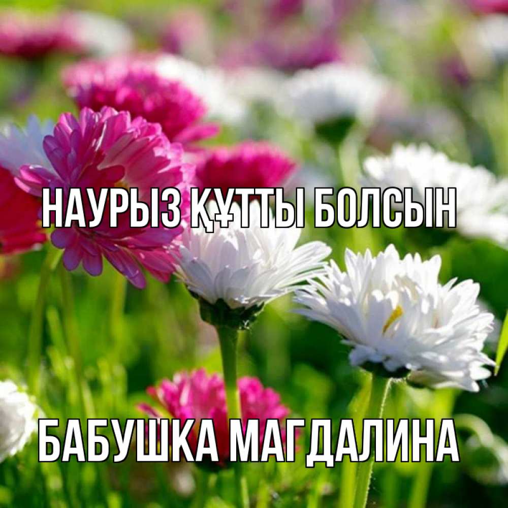 Открытка на каждый день с именем, Бабушка-Магдалина Наурыз құтты болсын наурыз Прикольная открытка с пожеланием онлайн скачать бесплатно 