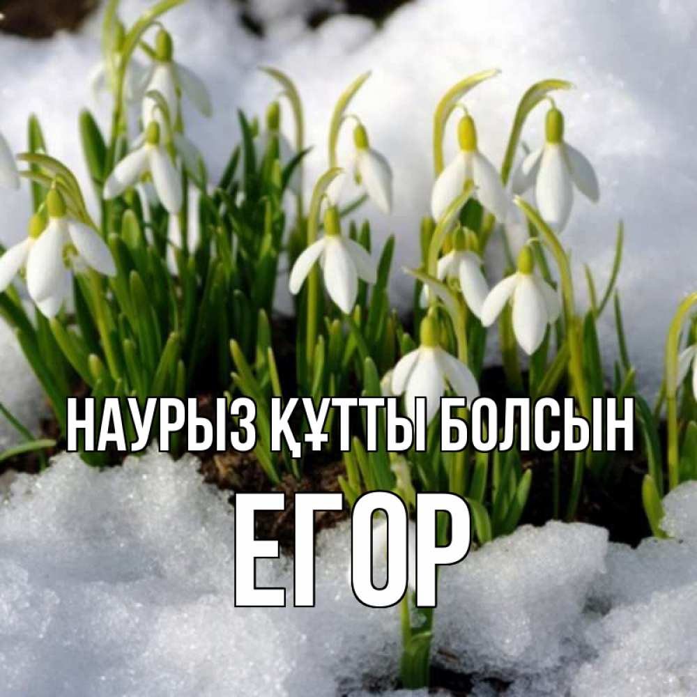 Открытка на каждый день с именем, Егор Наурыз құтты болсын цветы весенние Прикольная открытка с пожеланием онлайн скачать бесплатно 