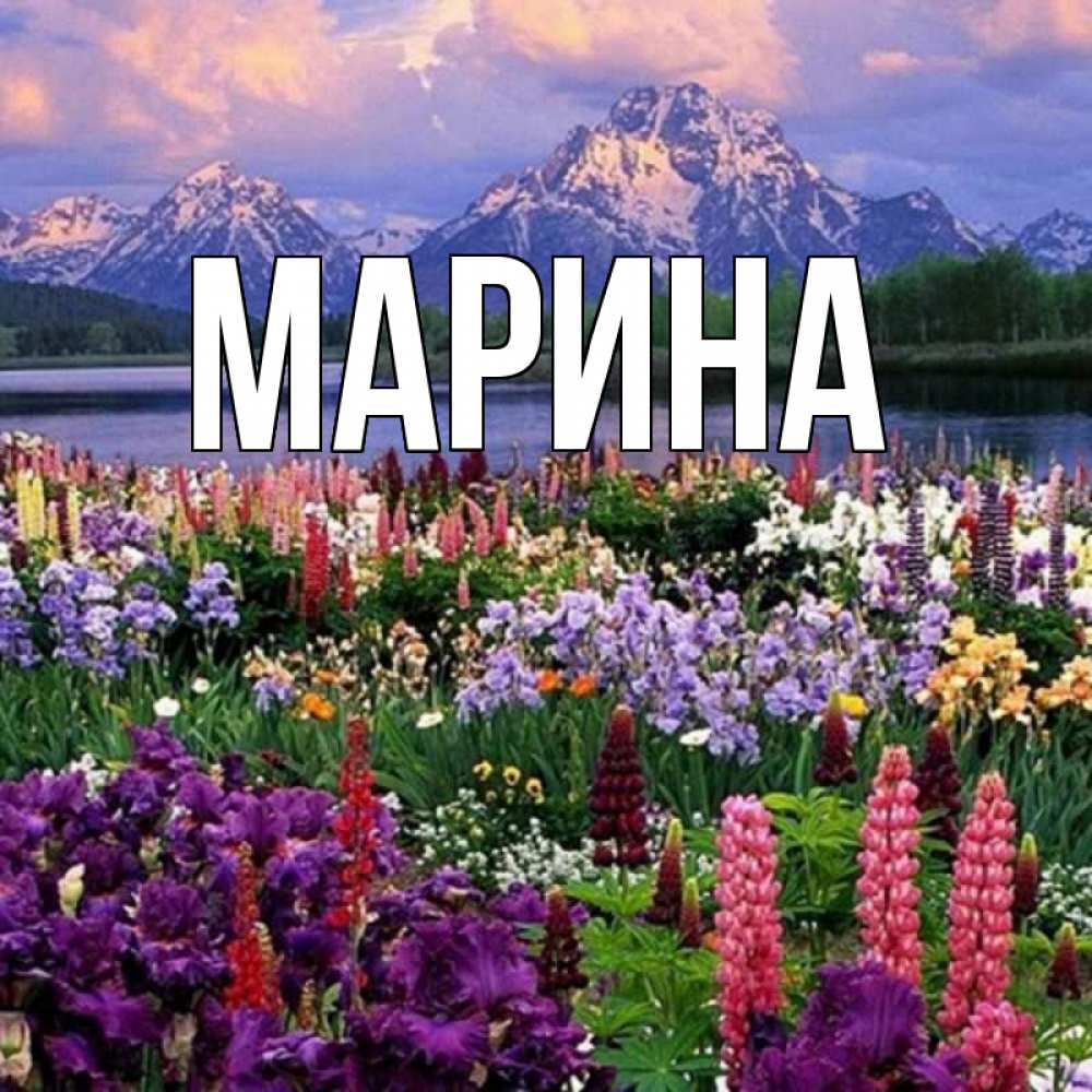 Открытка на каждый день с именем, Марина Главная праздник весны наурыз Прикольная открытка с пожеланием онлайн скачать бесплатно 