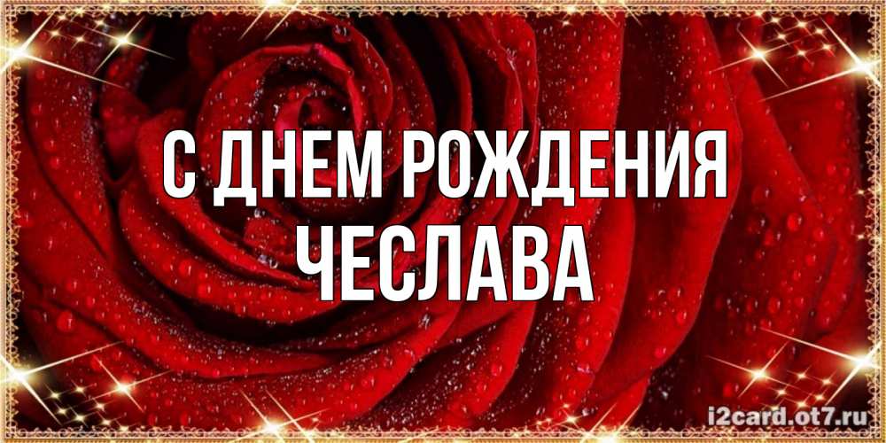 Открытка на каждый день с именем, Чеслава С днем рождения роса на розе блестящая в лучах солнца Прикольная открытка с пожеланием онлайн скачать бесплатно 