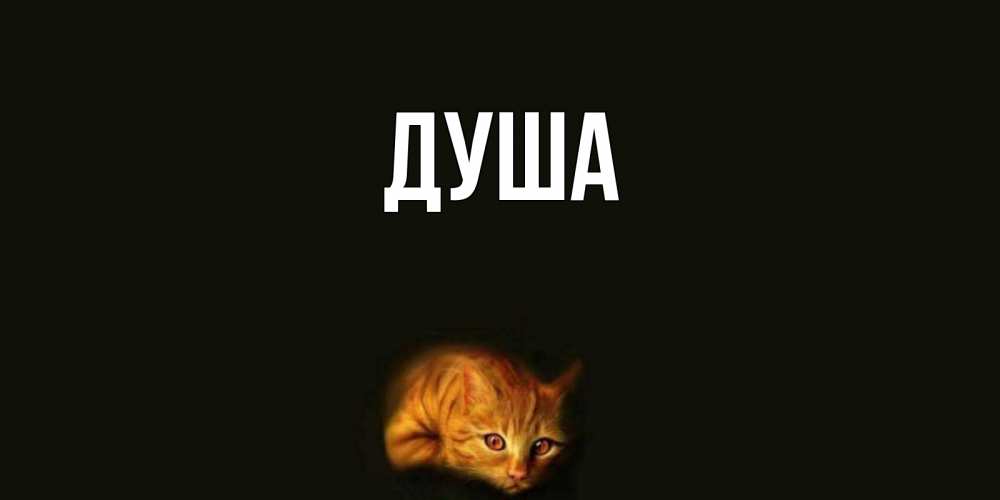 Открытка на каждый день с именем, Душа Главная кот Прикольная открытка с пожеланием онлайн скачать бесплатно 