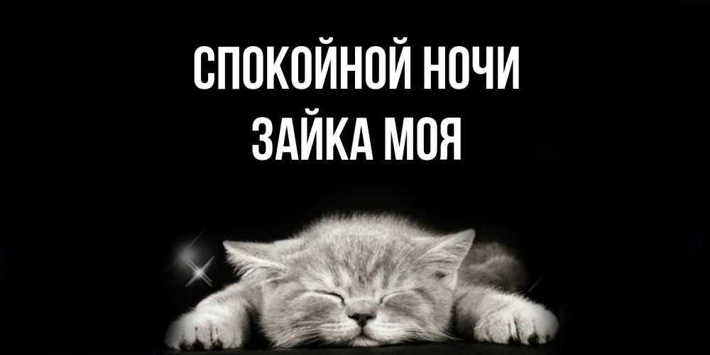 Открытка на каждый день с именем, Зайка-моя Спокойной ночи спящий котик Прикольная открытка с пожеланием онлайн скачать бесплатно 