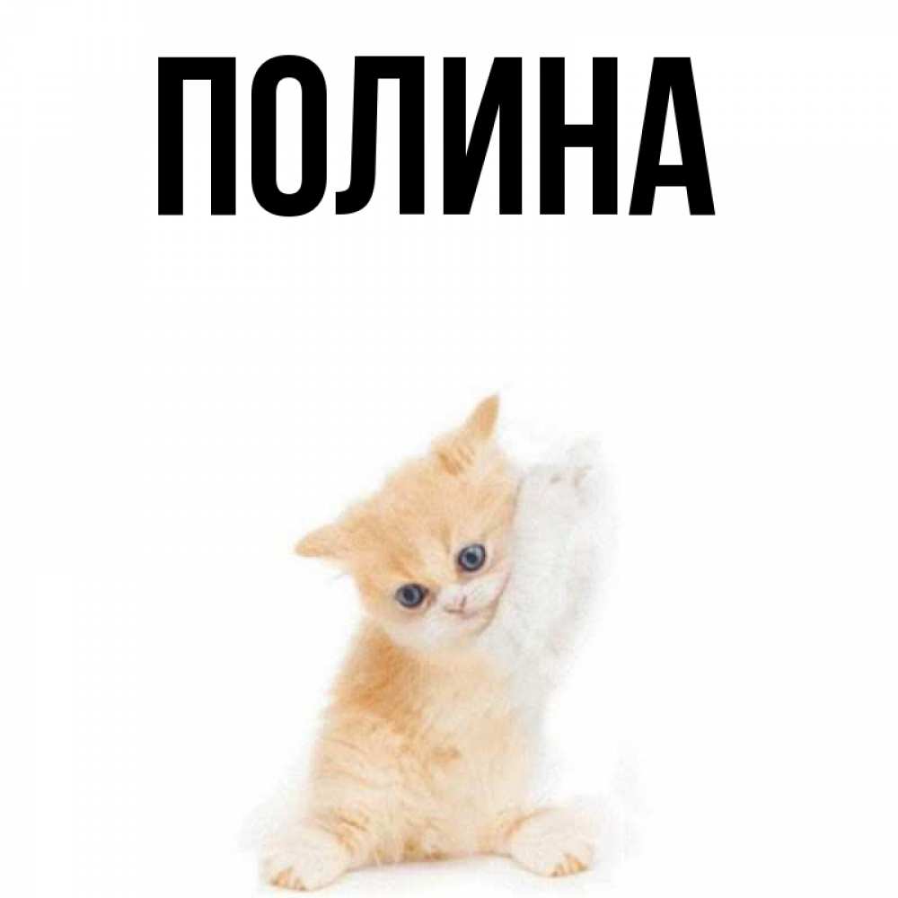 Полина Картинки