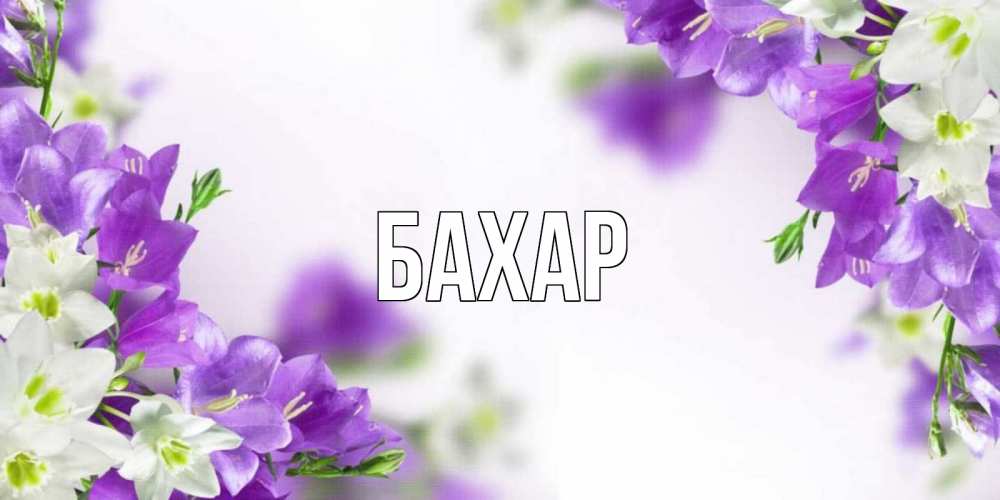 Картинка  с именем , Бахар