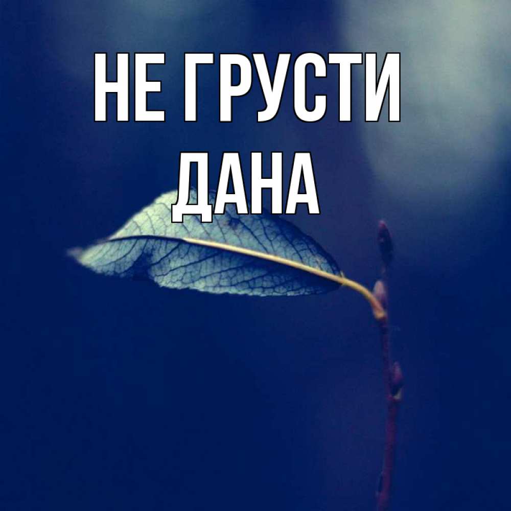 Открытка на каждый день с именем, Дана Не грусти растение Прикольная открытка с пожеланием онлайн скачать бесплатно 