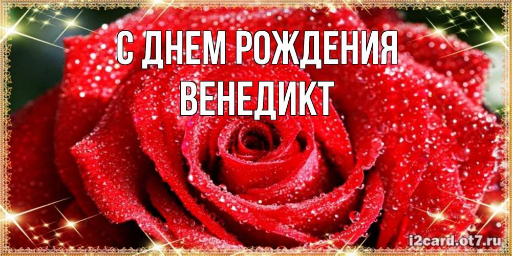 Открытка на каждый день с именем, Венедикт С днем рождения роса и роза. открытка с красивой розой Прикольная открытка с пожеланием онлайн скачать бесплатно 