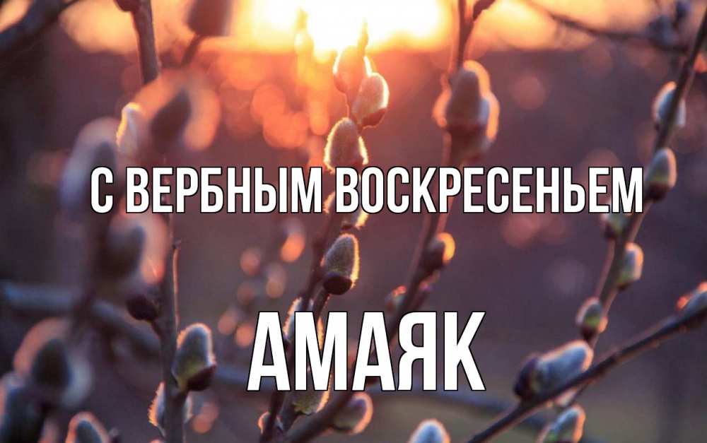 Открытка на каждый день с именем, Амаяк С вербным воскресеньем верба Прикольная открытка с пожеланием онлайн скачать бесплатно 