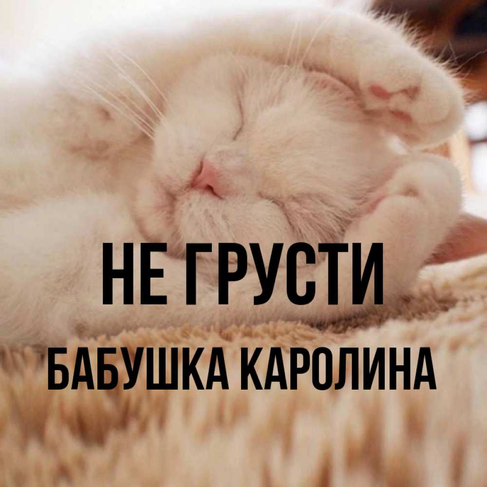 Открытка на каждый день с именем, Бабушка-Каролина Не грусти Котенок спит Прикольная открытка с пожеланием онлайн скачать бесплатно 